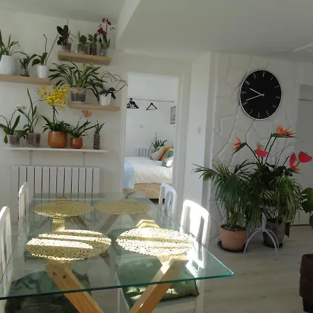 34 Apartment