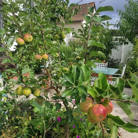 Διαμέρισμα 34 *